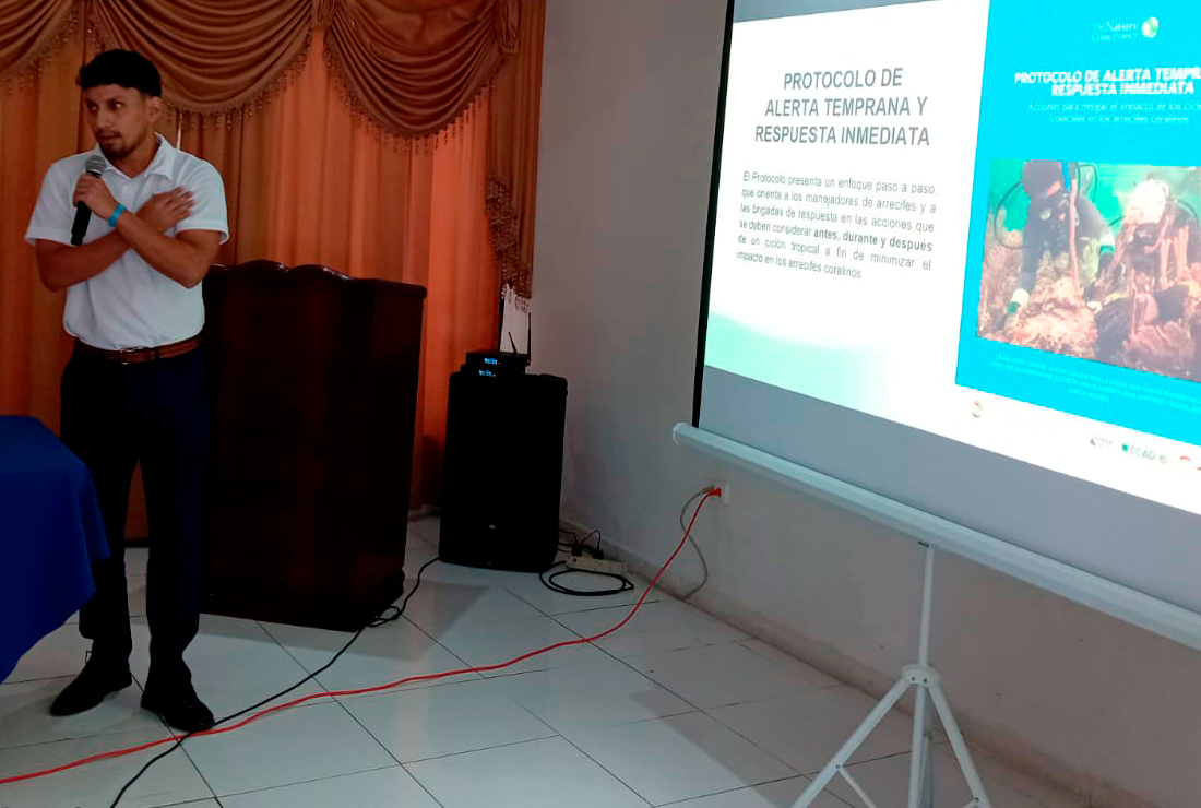 andre-herrera-actividades-comites