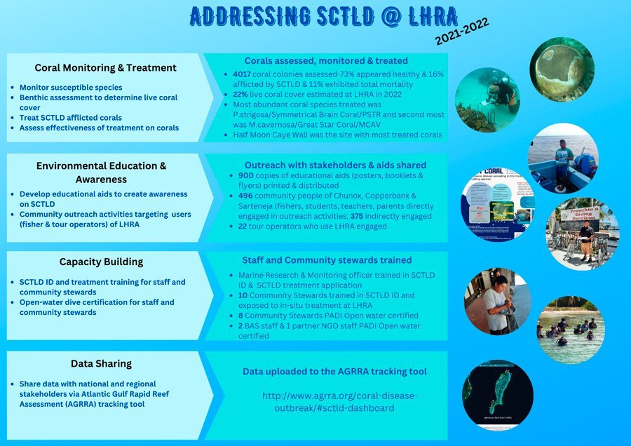 Project-summary-infographic-900