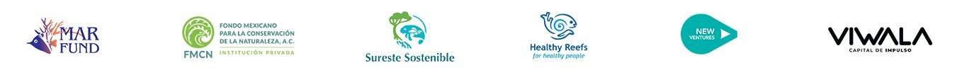 partners-marinvest-logos
