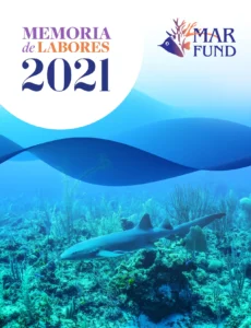 2021