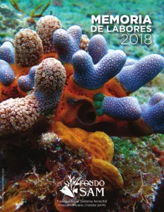 Memoria-Labores-2018-espanol-Final_001.webp