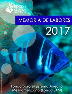 memoria-2017-espanol-portada.webp