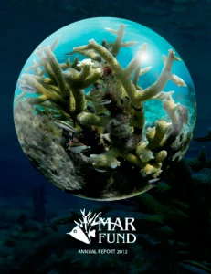 memoria-labores-2012.webp